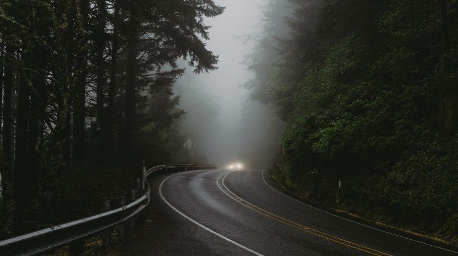 How to Make the Most of When Driving Into Fog You Should