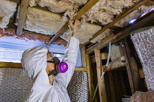 Average Asbestos Removal Costs in 2025- interior removal cost