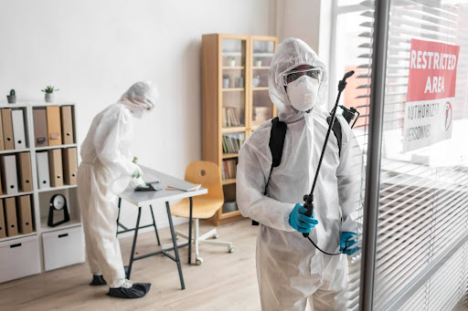 The Asbestos Removal Process