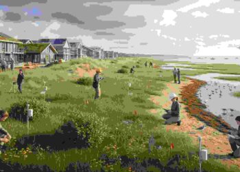 5 Essential Ways to Support Coastal Projects With Ecological Expertise