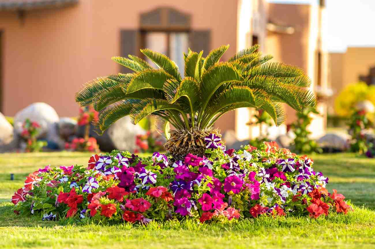 Choose plants with strong architectural qualities.