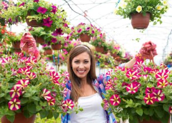 Garden Glow-Up Top Flower Picks for a Stunning Yard