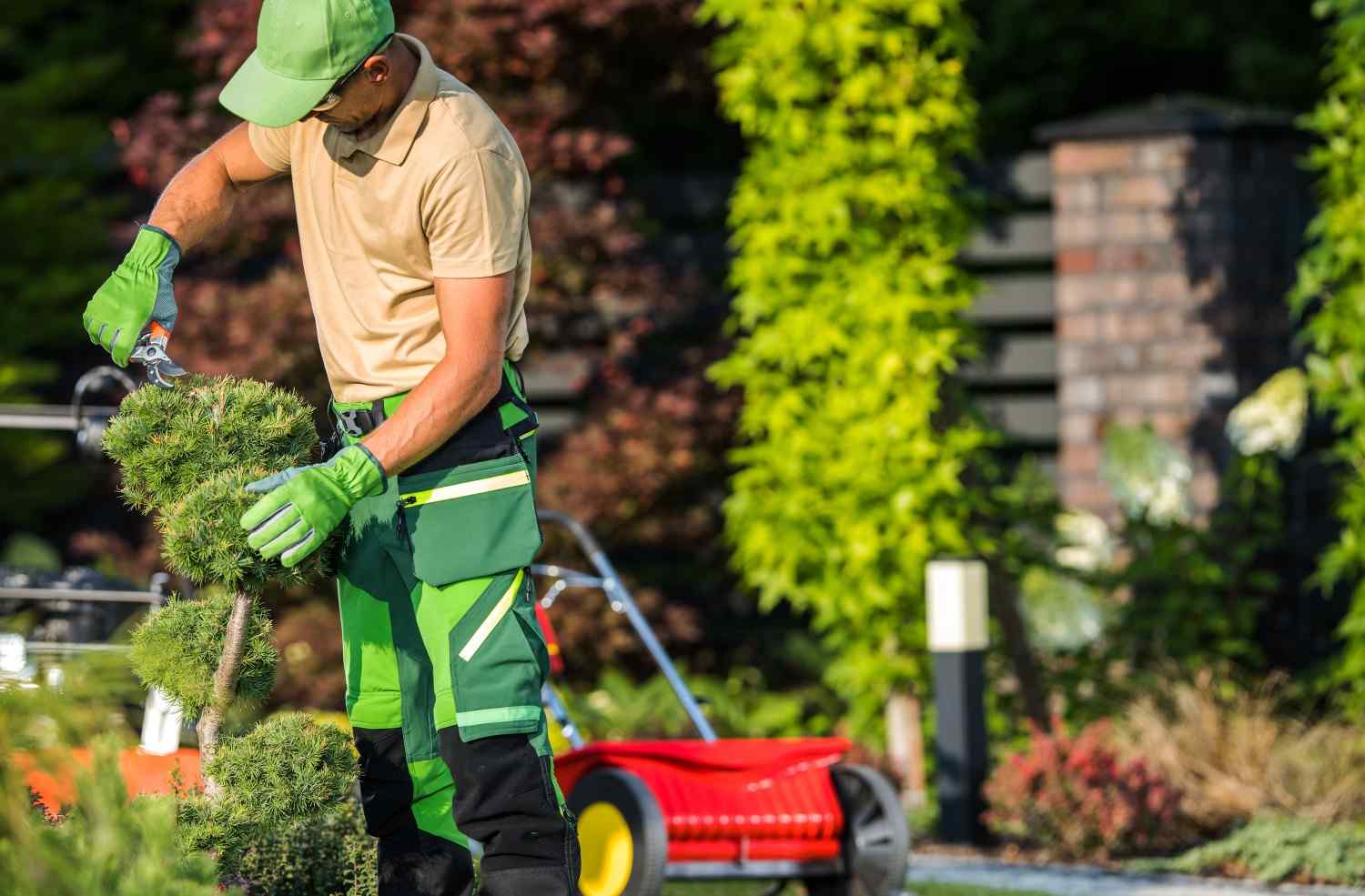 Seasonal Maintenance and Upkeep Tips