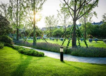 Transform Your Yard with These Minimalist Landscaping Ideas