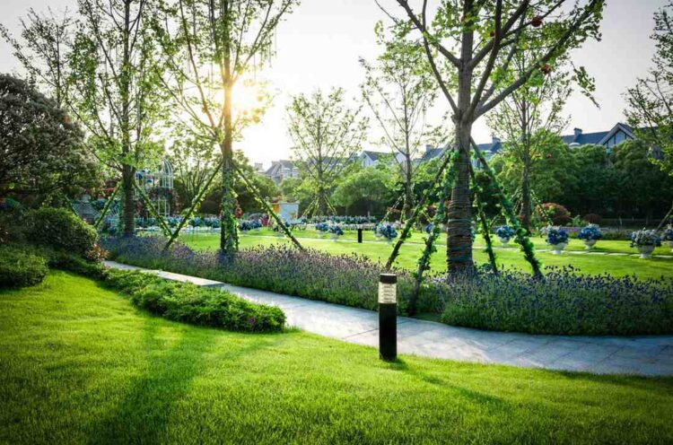Transform Your Yard with These Minimalist Landscaping Ideas