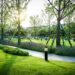 Transform Your Yard with These Minimalist Landscaping Ideas