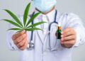 What Doctors Look For Before Approving Medical Cannabis