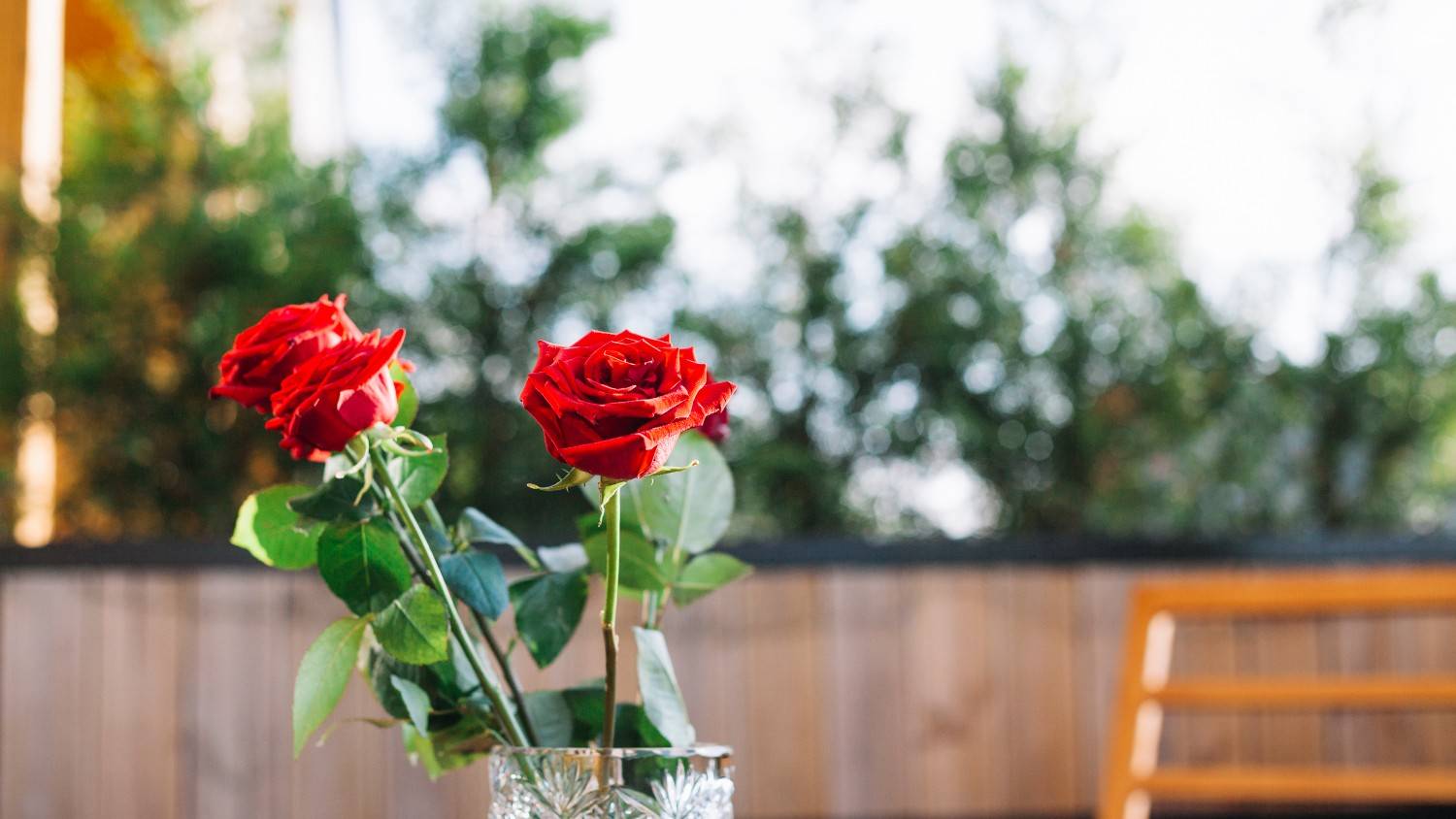 When it comes to flowers that never go out of style, roses top the list.