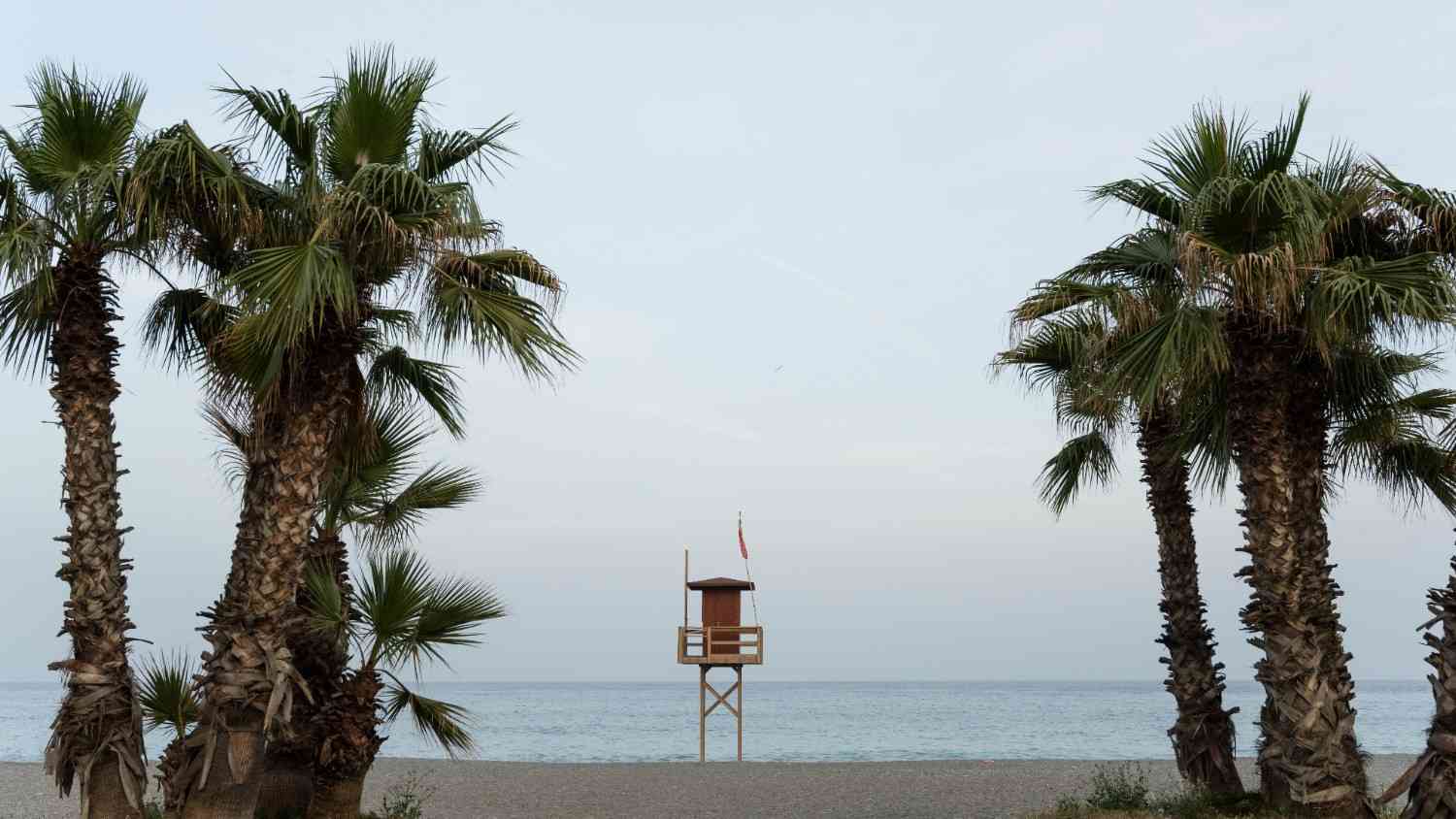 California – Nature in Every Form