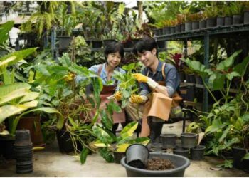 Green Thumbs at Home: Essential Tips for Thriving Gardens