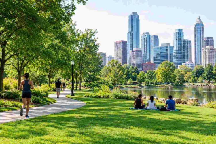 The Top Benefits of Having More Public Parks in Cities